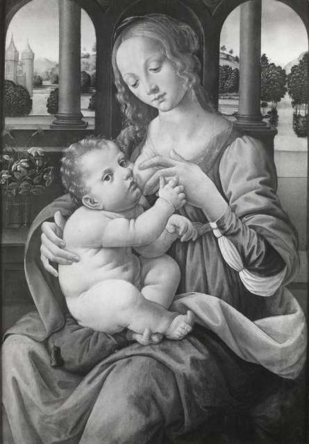 A. C. Cooper — Lorenzo di Credi - sec. XV/ XVI - Madonna del latte — insieme
